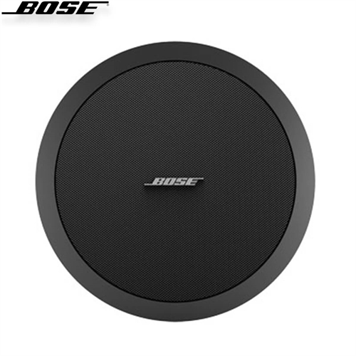 Loa Bose FreeSpace DS 40F 10